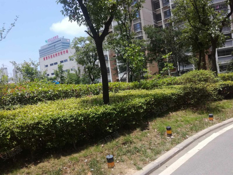 北岗花园,淮海大道-衡水北岗花园二手房,租房,房价-衡水安居客