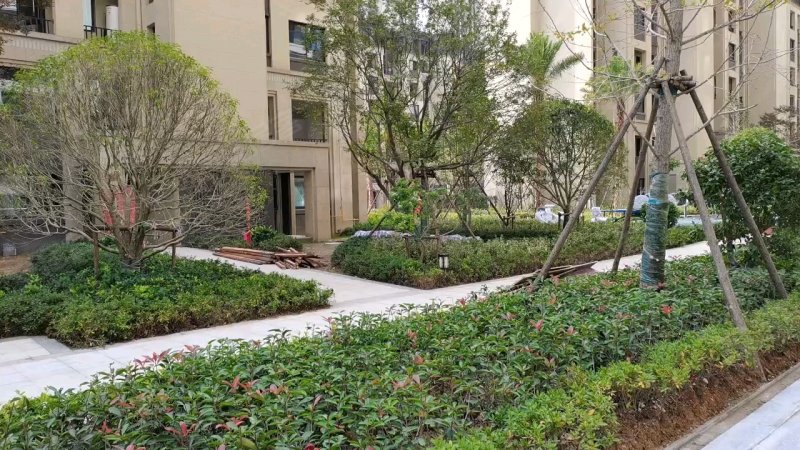 祥生国宾府,双水路,近珠光街-台州祥生国宾府二手房,租房,房价-台州