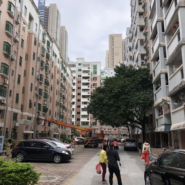 龙岗鸿基花园(东区)