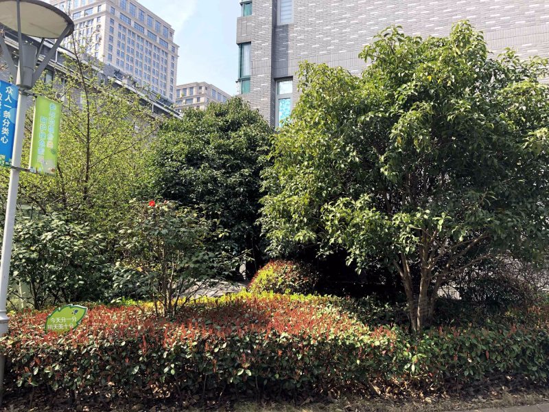 放鹤洲花园(三期南区),望鹤路99号-嘉兴放鹤洲花园(三期南区)二手房