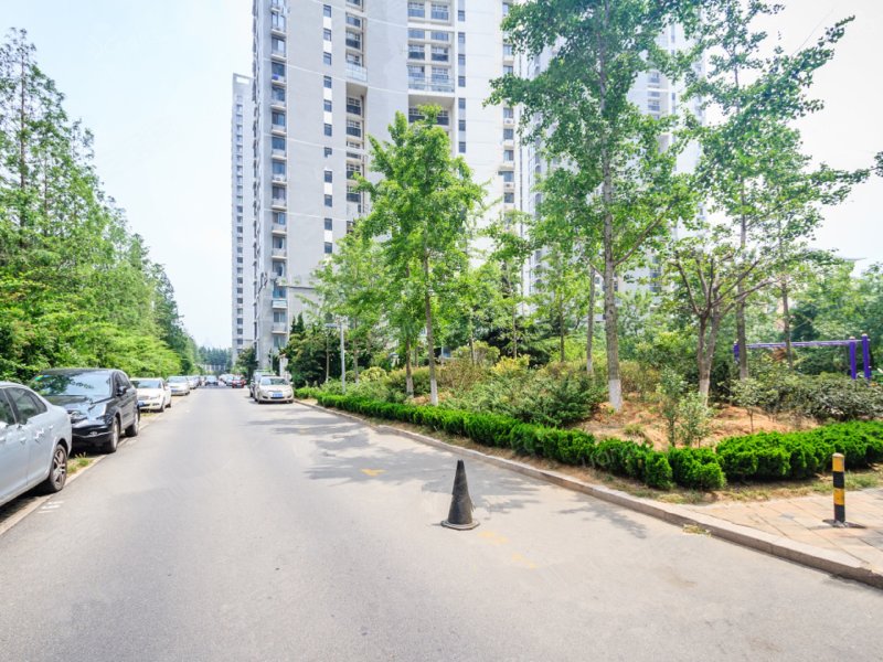 青建橄榄城,海尔路31号-青岛青建橄榄城二手房,租房,房价-青岛安居客