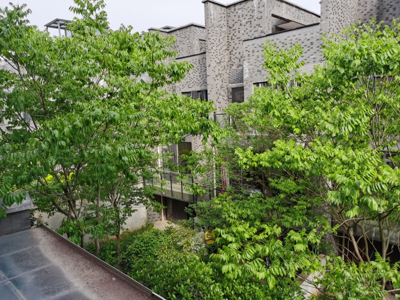 阳光100大湖第(别墅)