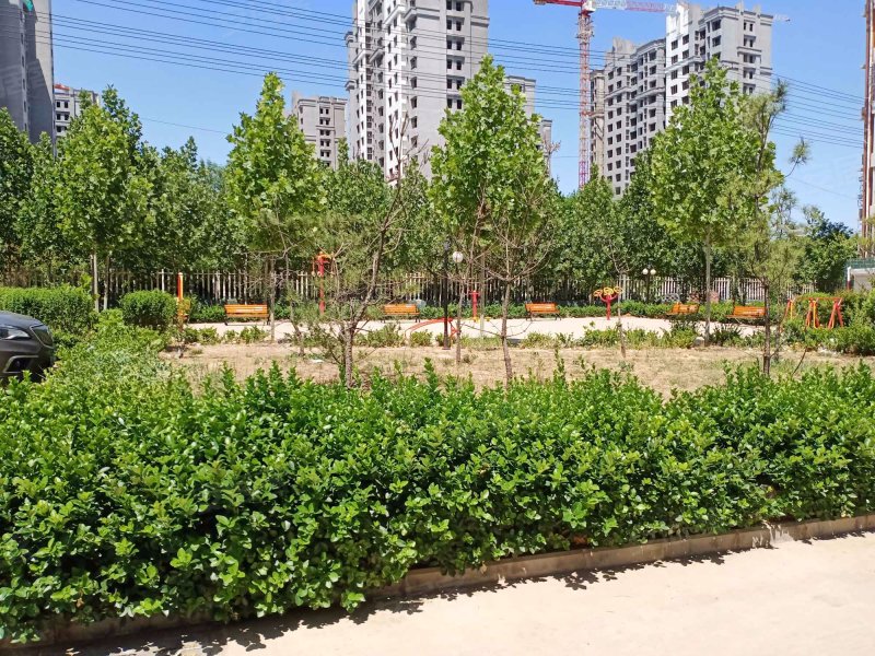 滨湖家园,工业路-衡水滨湖家园二手房,租房,房价-衡水安居客