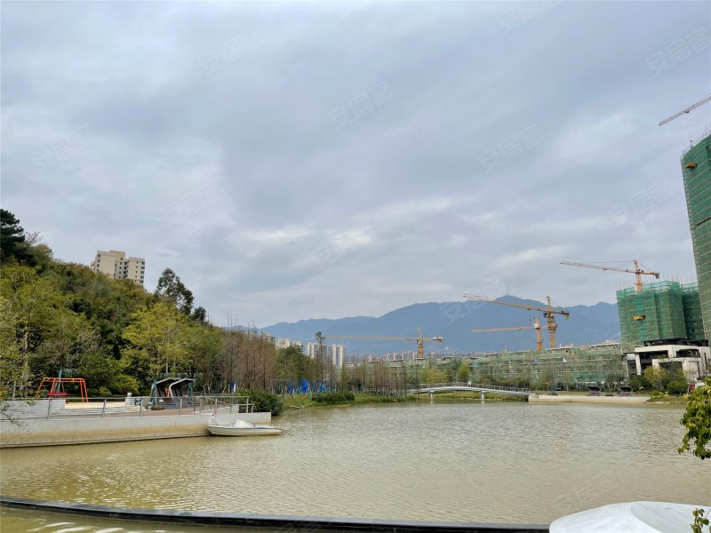 阳光城檀府,蓝塘三路-肇庆阳光城檀府二手房,租房,房价-肇庆安居客