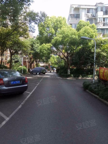 金桥新村浦三小区 