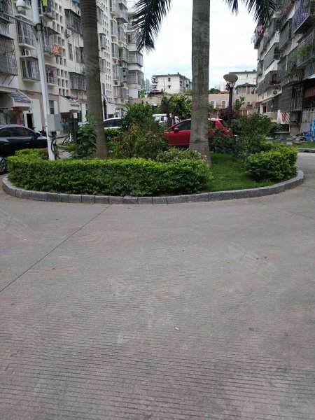 莲坂新村小区(三区),莲景路23-85号-厦门莲坂新村小区(三区)二手房