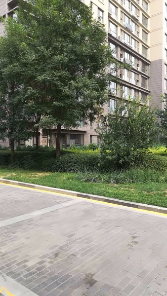 维多利亚时代逸景园,塔南路-石家庄维多利亚时代逸景园二手房,租房