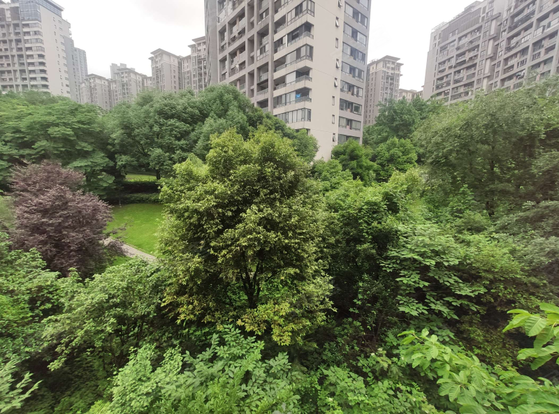 国奥村(一期a组团),国惠路45号-重庆国奥村(一期a组团)二手房,租房