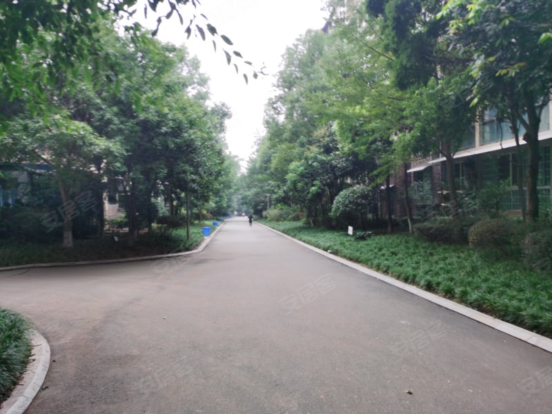 南湖郡,通达南街157号-自贡南湖郡二手房,租房,房价-自贡安居客