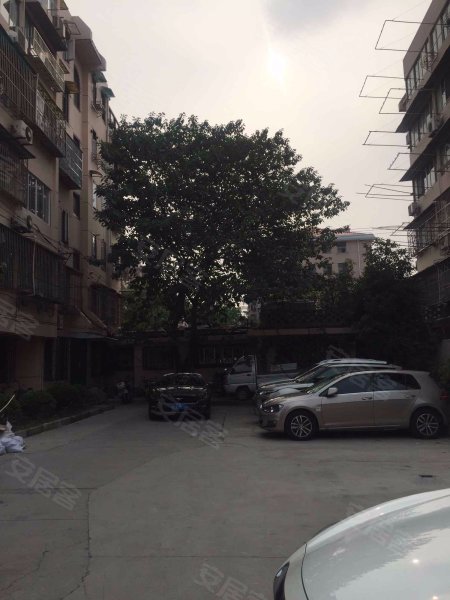 国权北路413弄小区 