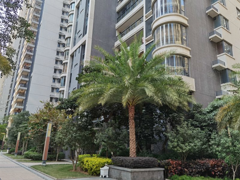 翔栩万泰城,环城南路-揭阳翔栩万泰城二手房,租房,房价-揭阳安居客