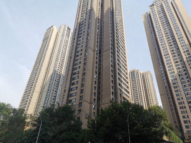 紫御江山紫峰,北滨二路537号-重庆紫御江山紫峰二手房,租房,房价-重庆