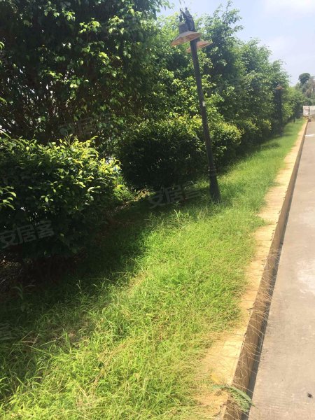 半山豪庭,南山路542-558号-厦门半山豪庭二手房,租房,房价-厦门安居客