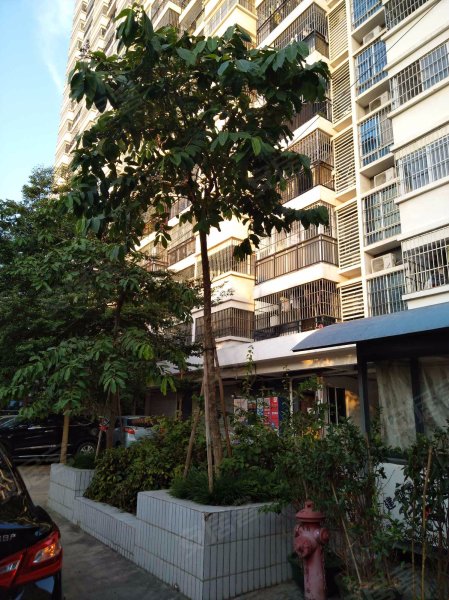 金港豪庭,长堽路一里30-2号-南宁金港豪庭二手房,租房,房价-南宁安居