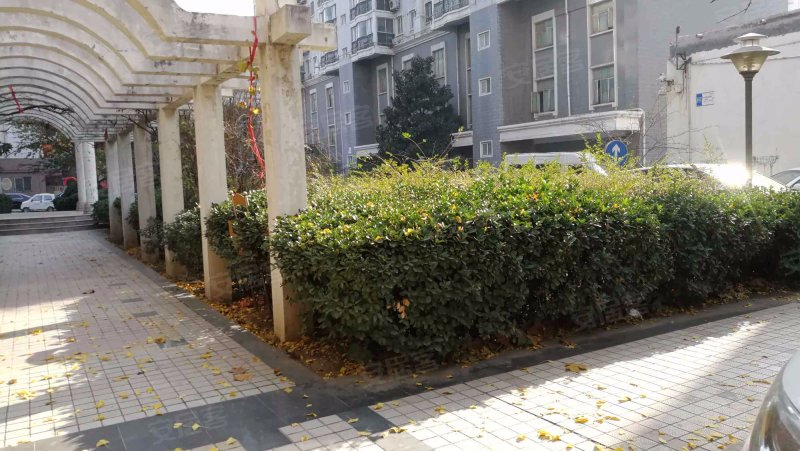 怡景苑,卫生路45号-郑州怡景苑二手房,租房,房价-郑州安居客