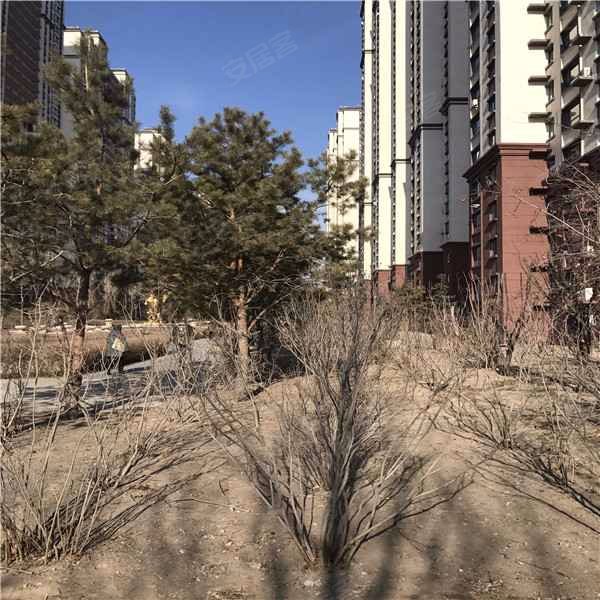 景程小区,纬二路-大庆景程小区二手房,租房,房价-大庆安居客