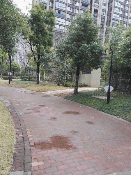 绿地清猗园(二期) 