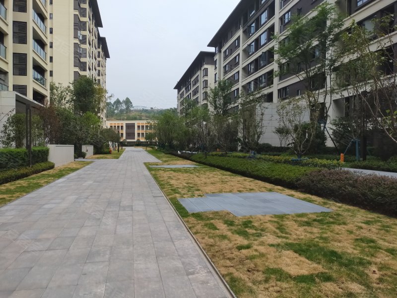 金科昆翔礼悦东方