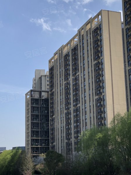 深城投十一街区(东区) 