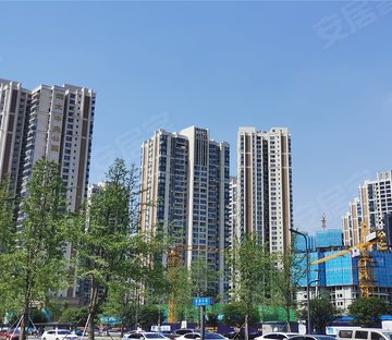 远大中央公园