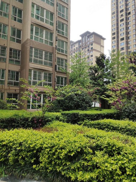 旭景新港,汉城南路100号-西安旭景新港二手房,租房,房价-西安安居客