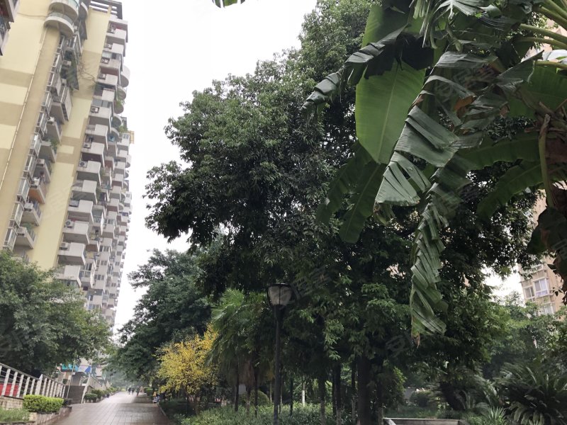 美堤雅城(a区),汇龙路66号-重庆美堤雅城(a区)二手房,租房,房价-重庆