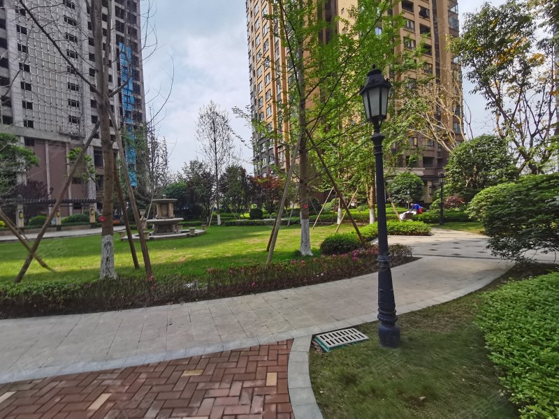 鸿通凤凰国际,三苏路,近瑞祥路-乐山鸿通凤凰国际二手房,租房,房价