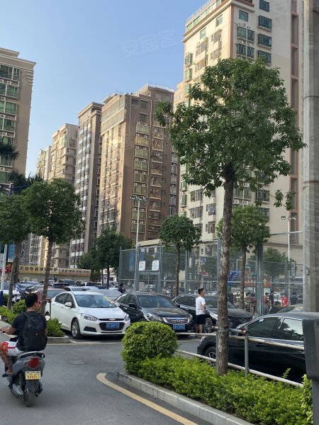 麻布新村(西乡街道)