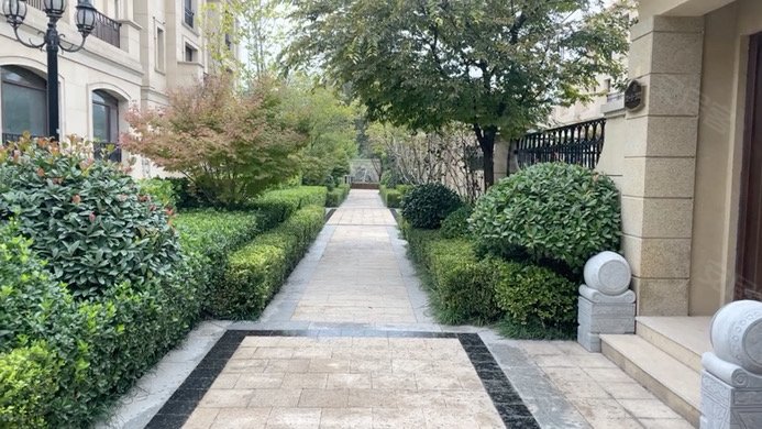 大川兰溪境界,鸢飞路,近泰祥街-潍坊大川兰溪境界二手房,租房,房价