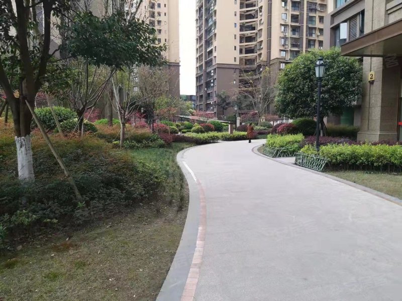 鸿通凤凰国际,三苏路,近瑞祥路-乐山鸿通凤凰国际二手房,租房,房价