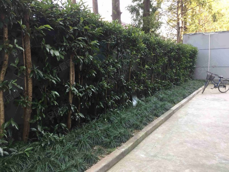 王桥街41弄小区 