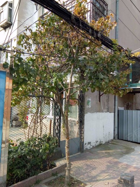 四里营小区,五四中路-保定四里营小区二手房,租房,房价-保定安居客