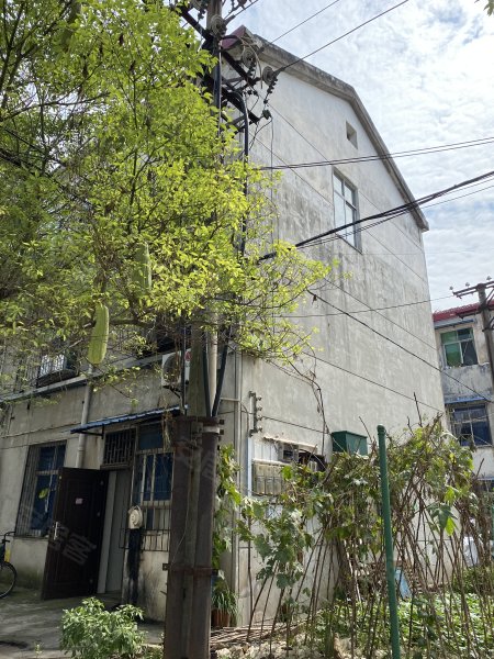 天兴洲绿岛小区