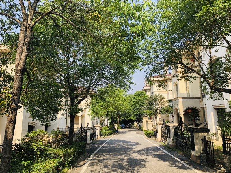 丽日天鹅湖(别墅),大学路-佛山丽日天鹅湖(别墅)二手房,租房,房价