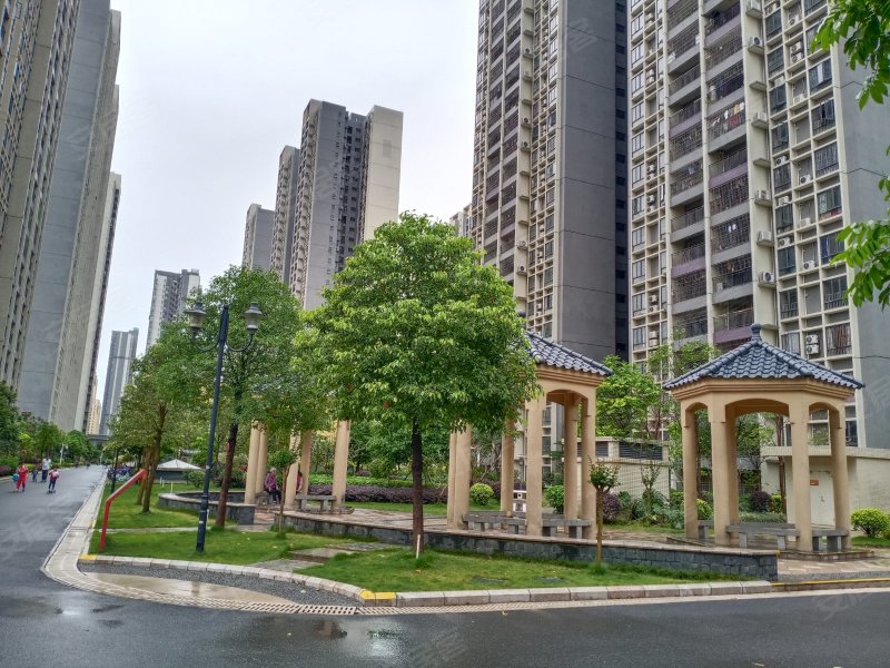 凤凰春天花园,清远大道-清远凤凰春天花园二手房,租房,房价-清远安居