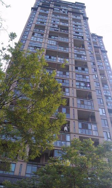 礼顿山1号,濯锦中路128号,科华南路316号-成都礼顿山1号二手房,租房