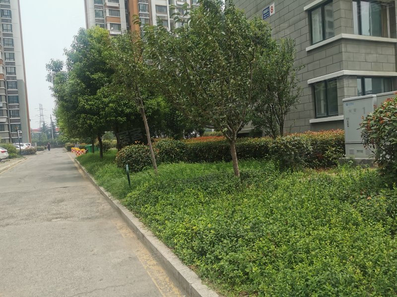 泰和佳园,崇义路5116号-邹城泰和佳园二手房,租房,房价-邹城安居客