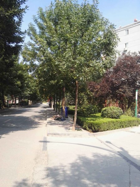 五普小区(东区),石油路-新乡五普小区(东区)二手房,租房,房价-新乡