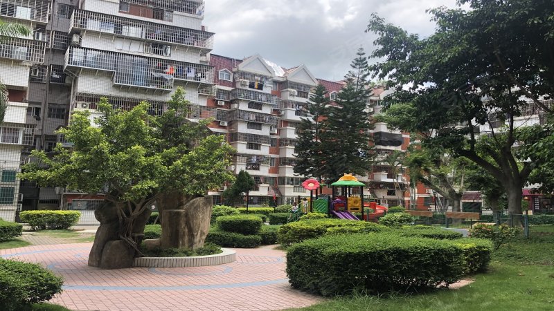 芙蓉苑,嘉园路41,207-273,277-317号-厦门芙蓉苑二手房,租房,房价