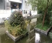 金桥新村五街坊