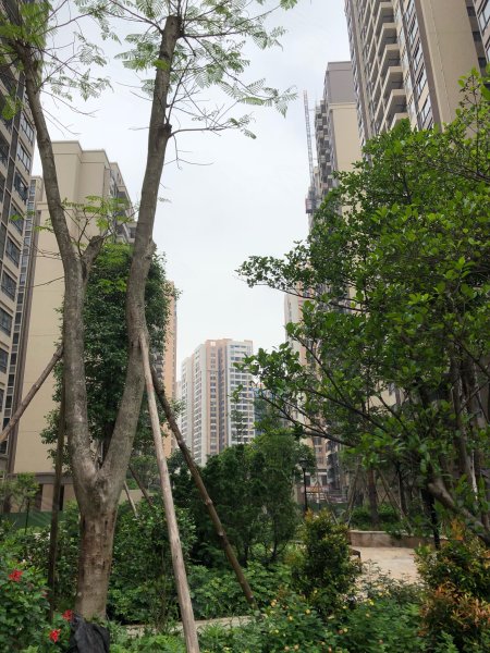 帝豪花园,天后路-肇庆帝豪花园二手房,租房,房价-肇庆安居客