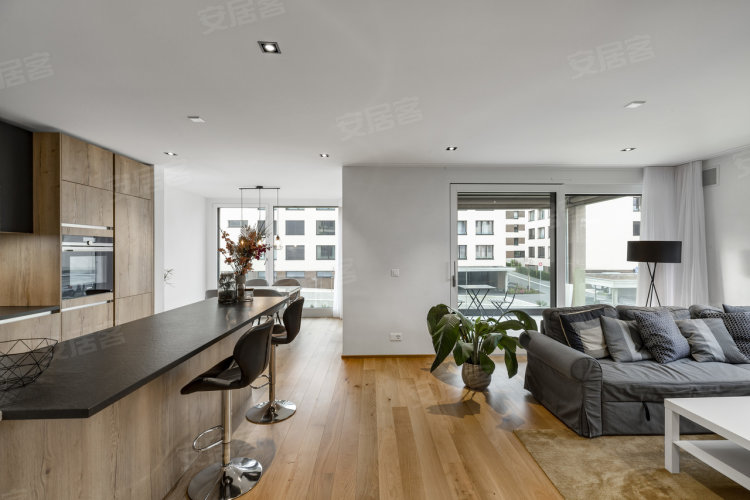 瑞士约¥506万Beautiful new apartment in the Platy district二手房公寓图片