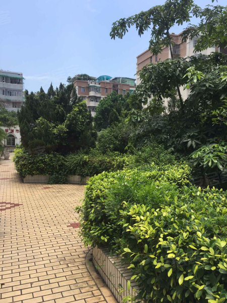 万景花园,宜宾路62-84号-厦门万景花园二手房,租房,房价-厦门安居客