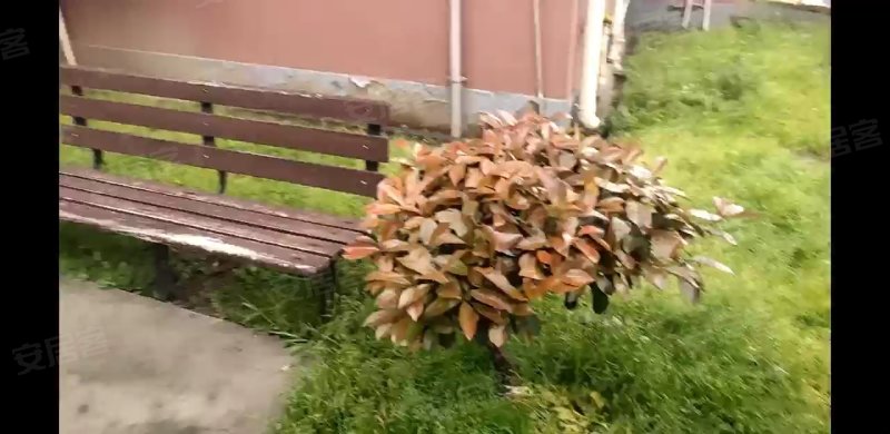 中华美路60弄小区 