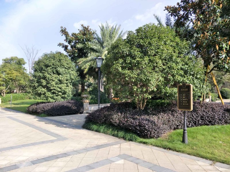 华侨花园江山邑,沙洲路,近七都大道-温州华侨花园江山邑二手房,租房