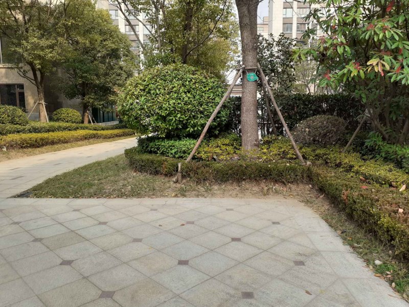 升龙公园道榕园