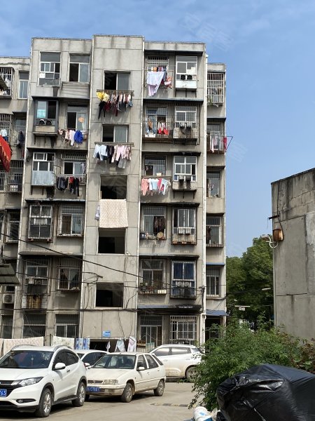 天兴洲绿岛小区