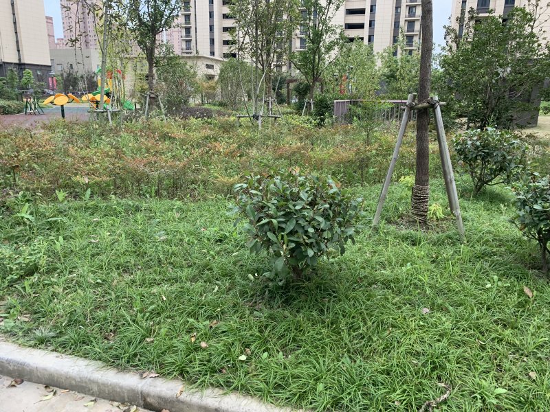 练祁佳城嘉盛园(三期) 