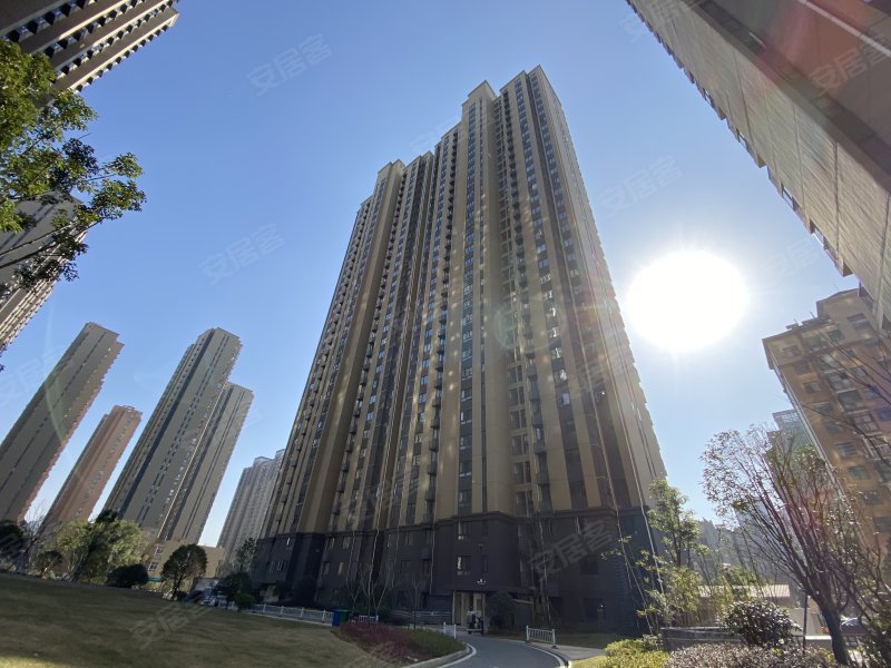 时代花园西区,武珞路586