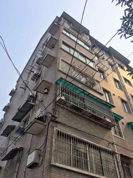 东林路538弄小区